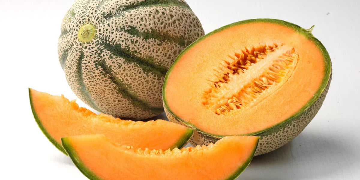 Melone, la filiera progetta il futuro